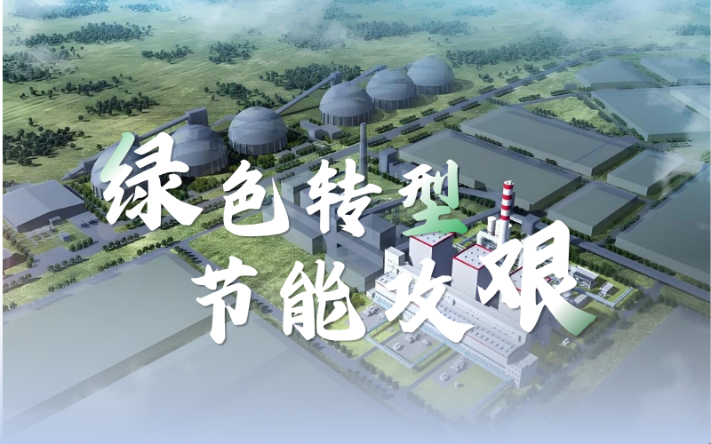 因“智”而优，因“绿”而净：领航国际解码煤化工的AI方程式